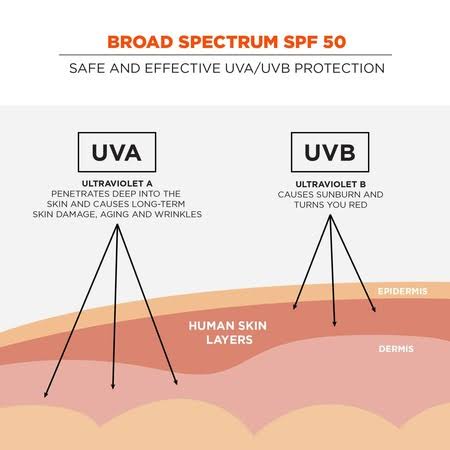 SPF 50 Sunscreen Lotion, 1.5oz, 12-Pack Y273