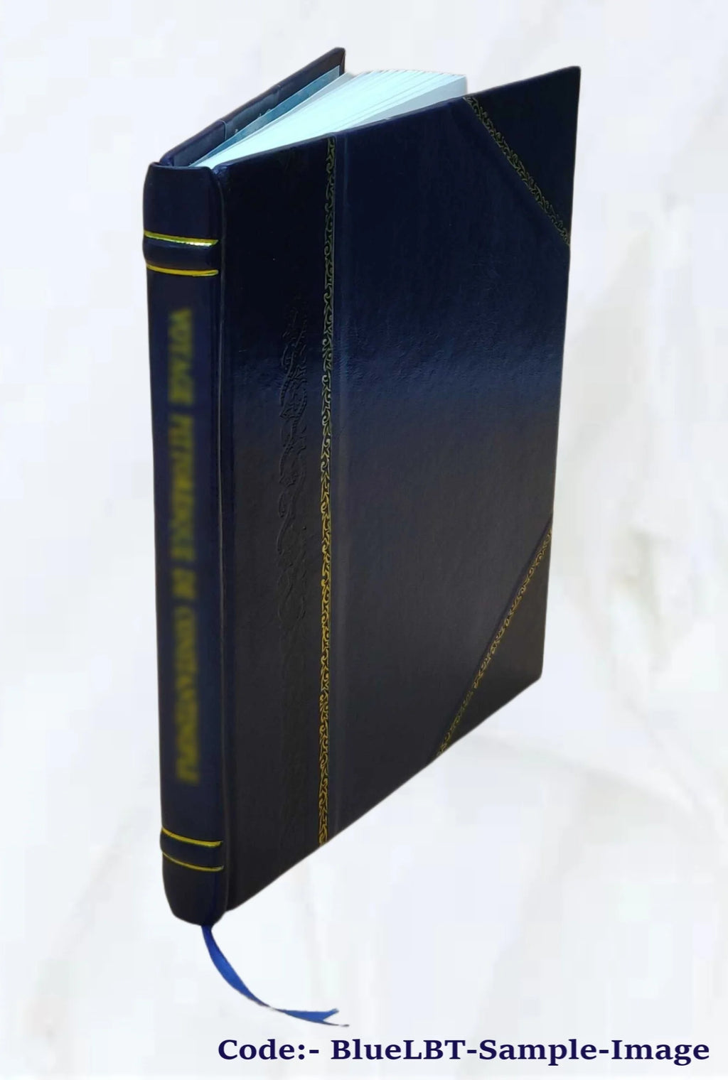 The East African slave trade, and the measures proposed for its extinction : as viewed by residents in Zanzibar 1871 [Leather Bound] L18570
