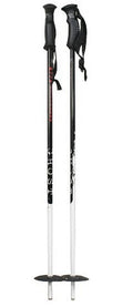 Alpine Downhill Ski Poles - 42" D1302