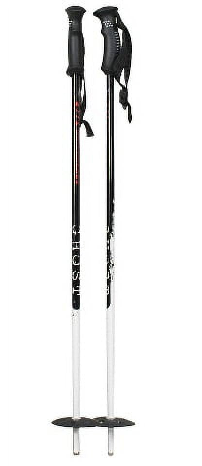 Alpine Downhill Ski Poles - 42" D1302