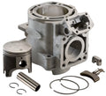 Power Valve Cylinder Kit for Yamaha Waverunner Gp1200 2001 2002 A585226
