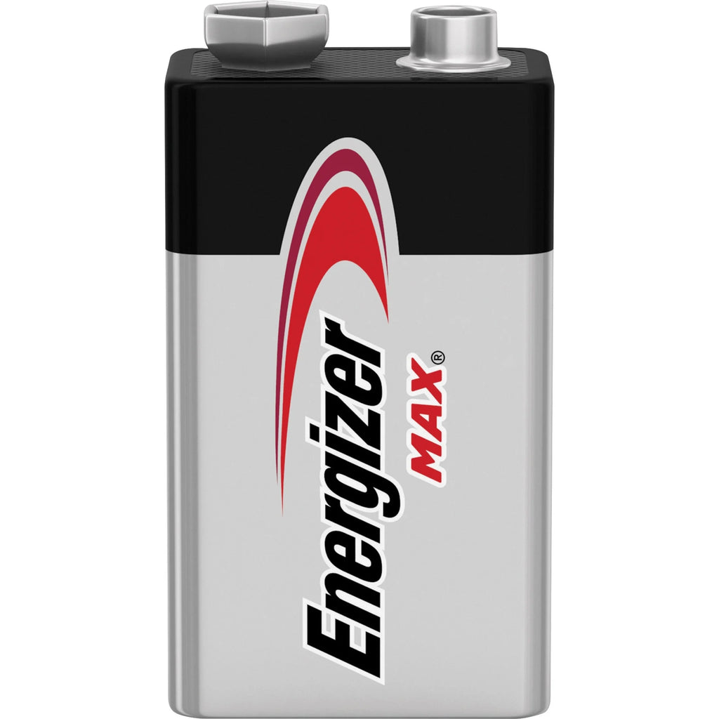 9V Alkaline Batteries (4 Pack) P195758