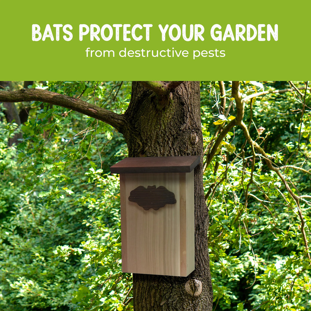 Cedar Bat House Dual Chamber Outdoor Shelter H656