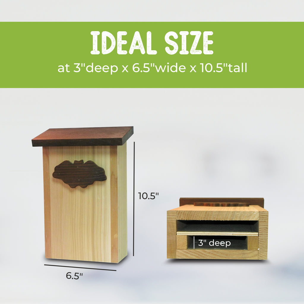 Cedar Bat House Dual Chamber Outdoor Shelter H656