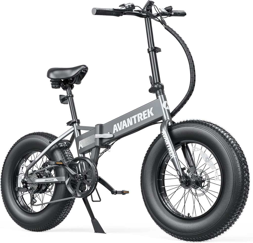 20'' Folding Fat Tire Electric Bike T685