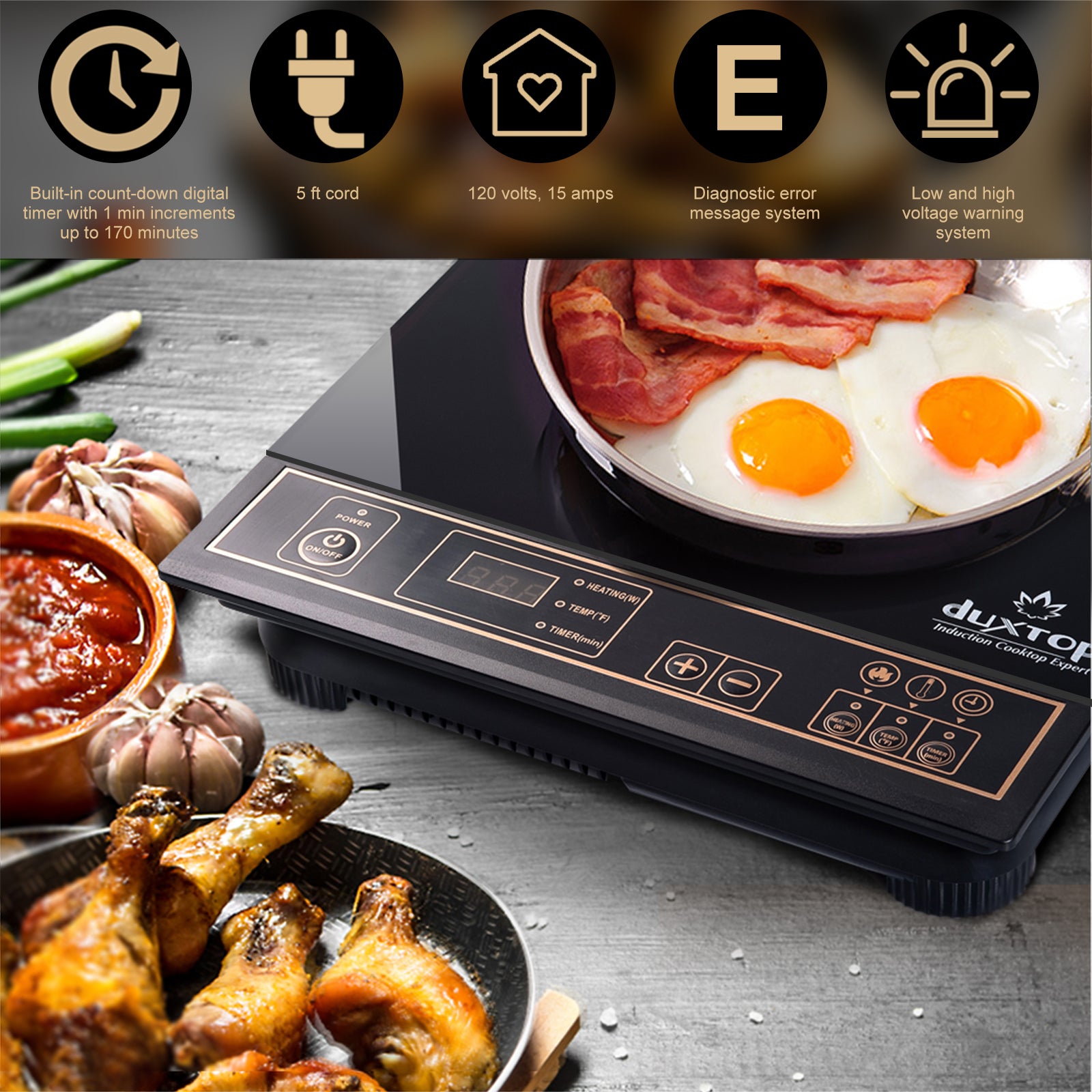 Silver Portable Induction Cooktop F44082