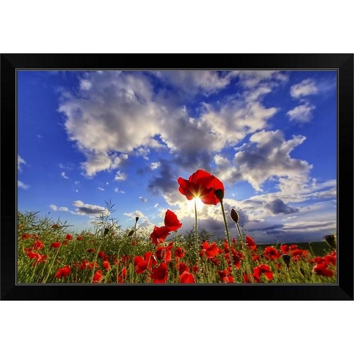 Black Framed Print - 24 x 16 F262