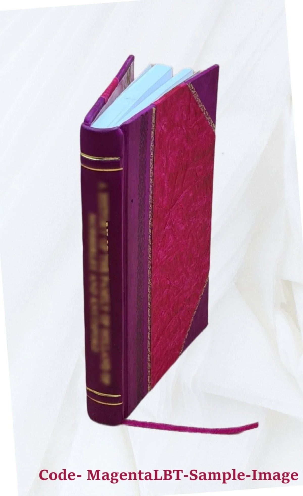 Colección de las composiciones poéticas inscritas en los arcos y arrojadas al paso de SS. Mm. En ... 1864 [Leather Bound] C6946