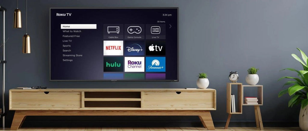 24" Class HD 720P ROKU Smart TV V497821