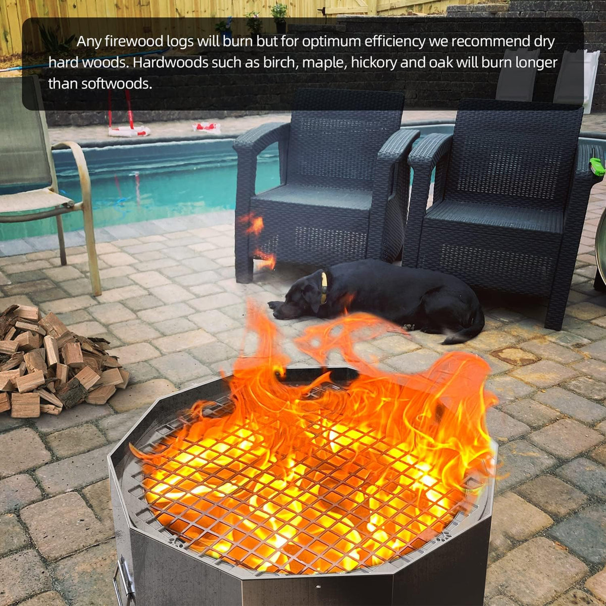 304 Stainless Steel Bonfire Fire Pit & Campfire Grill, Portable, 15.75x17.95 Inches I662