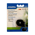 300 Air Pump Z518606