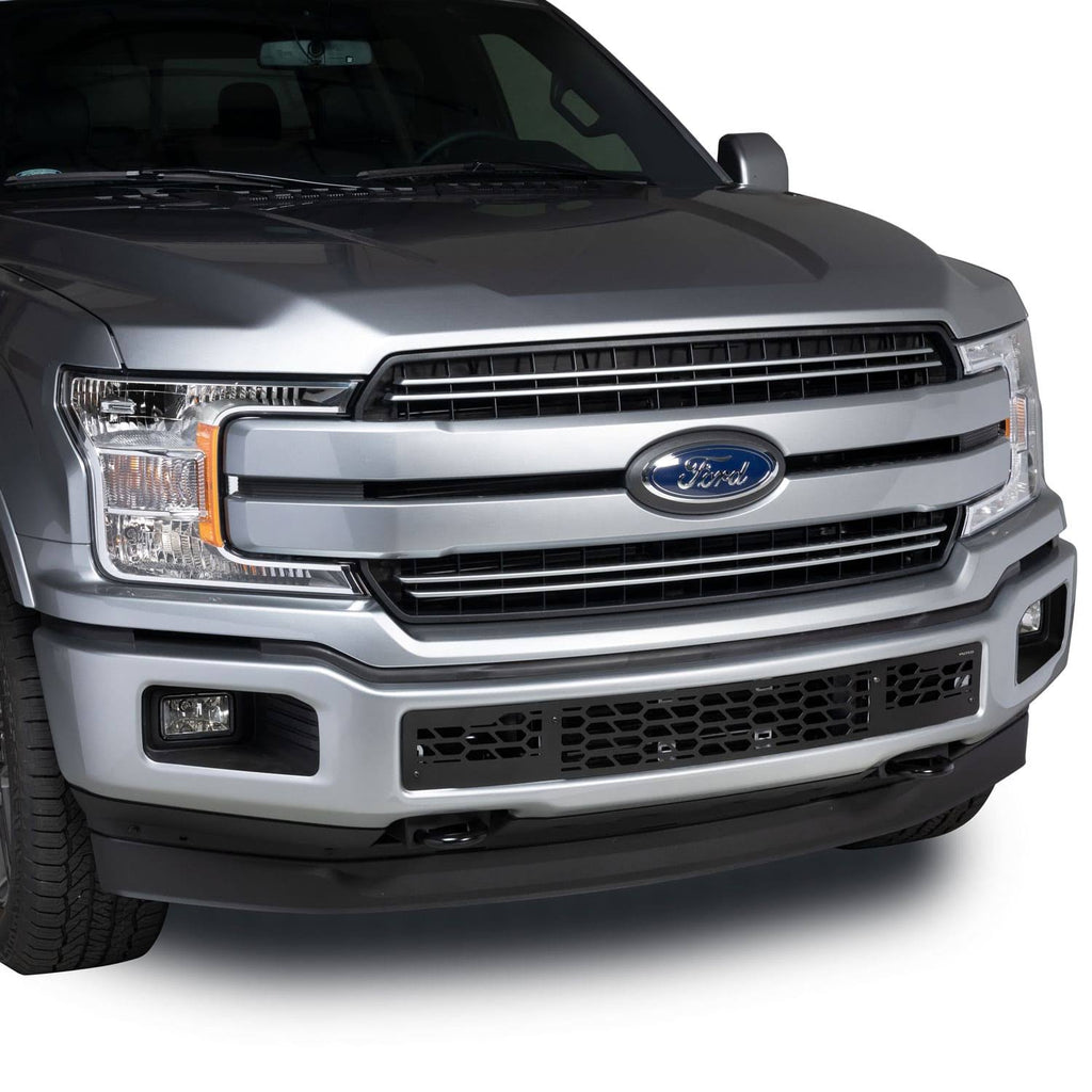 Bumper Grille Insert A491