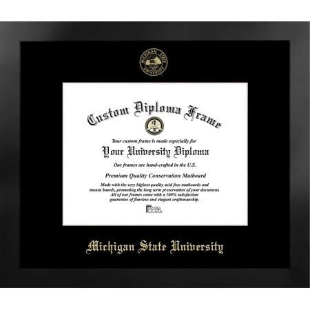 Silver Embossed Diploma Frame V1863