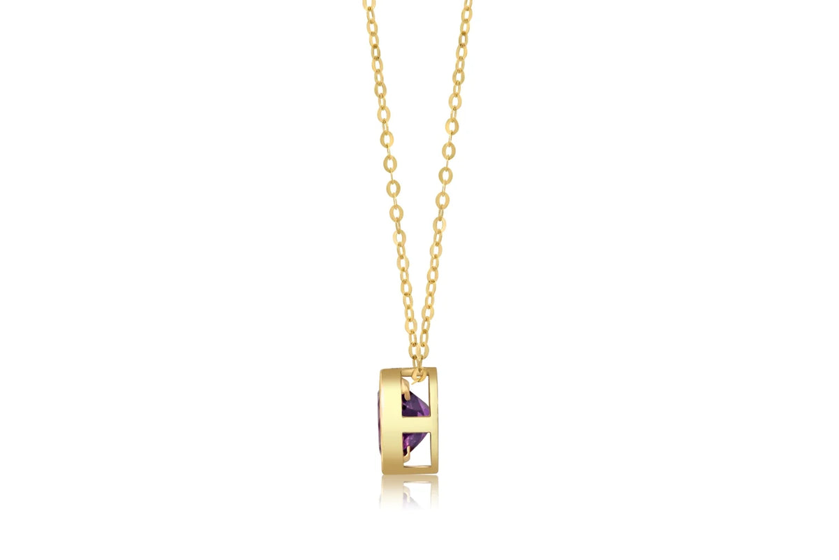 14k Yellow Gold Amethyst Pendant Necklace with 18 Inch Cable Chain F8297