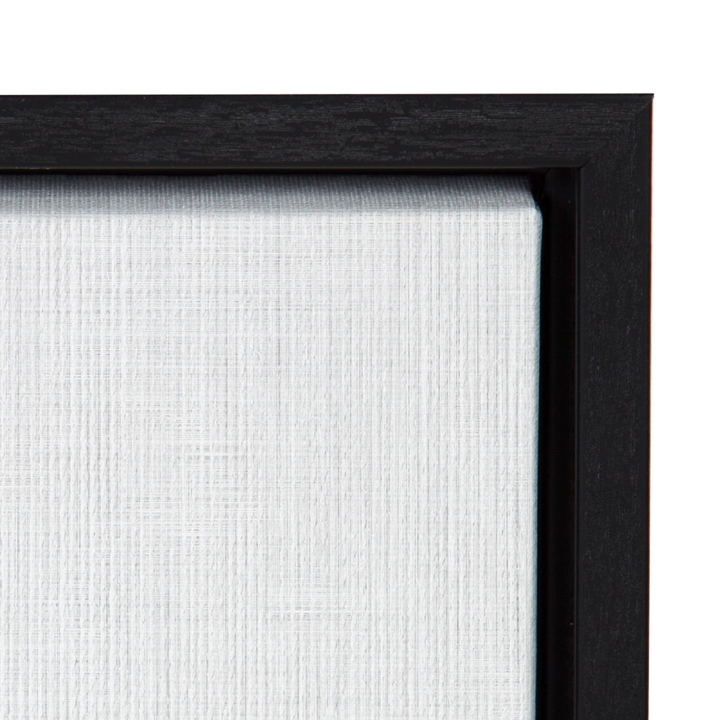 Black Framed Canvas J430563