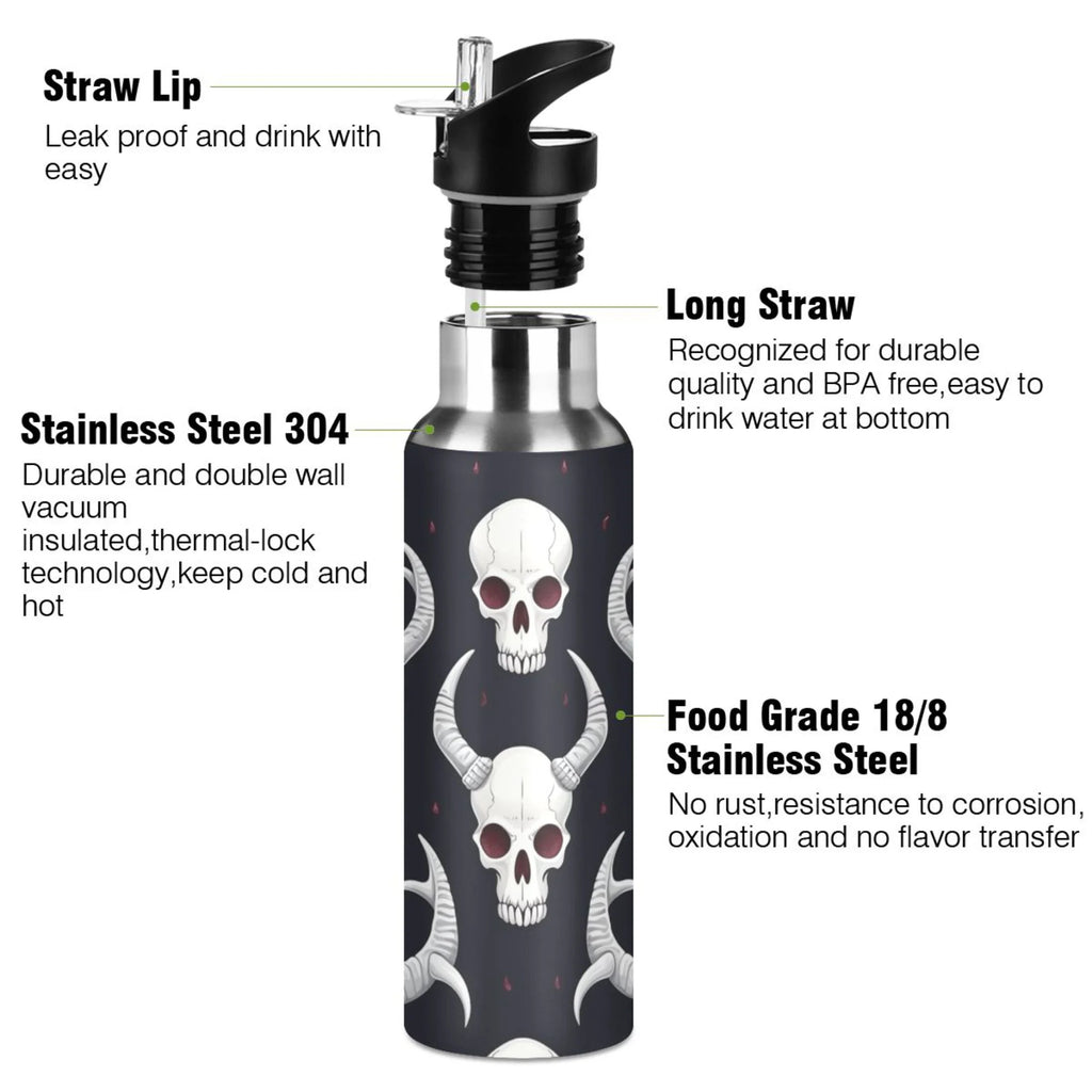 Insulated Stainless Steel Water Bottle with Straw Lid, 20 oz U10768