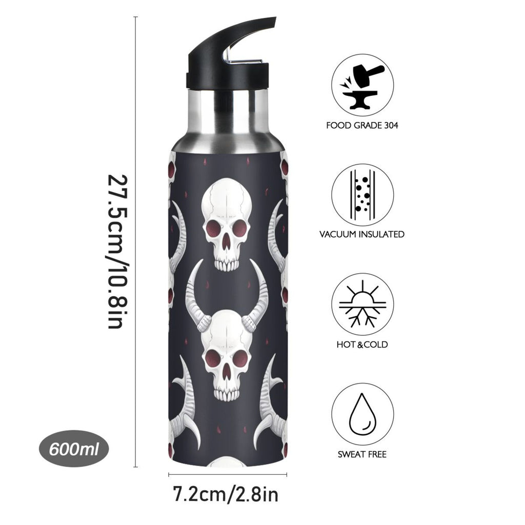 Insulated Stainless Steel Water Bottle with Straw Lid, 20 oz U10768