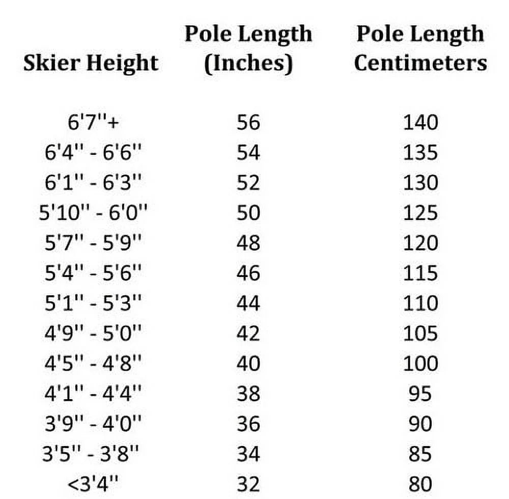 Alpine Downhill Ski Poles - 42" D1302