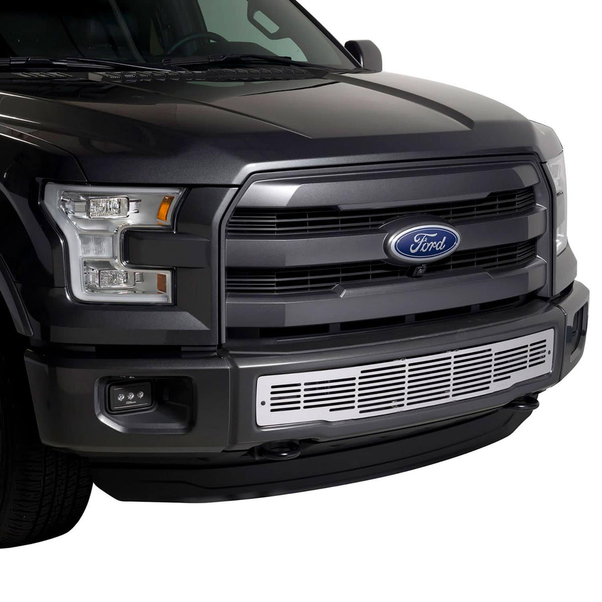 Bumper Grille Insert A491