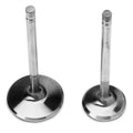 Intake Valves H7933
