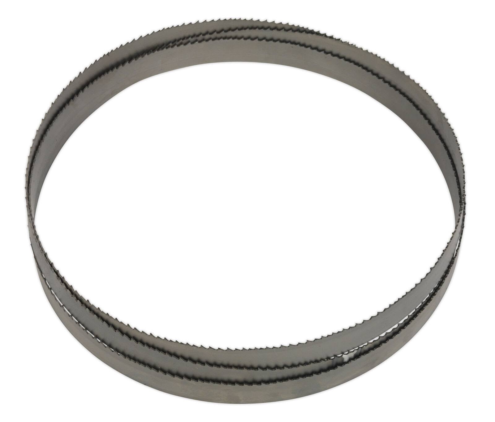 Bi-Metal Bandsaw Blade 2100 x 20 x 0.8mm 6/10tpi Vari-Pitch E5156