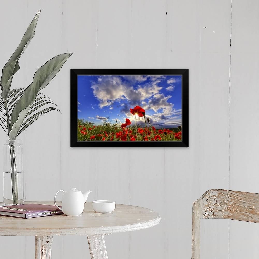 Black Framed Print - 24 x 16 F262