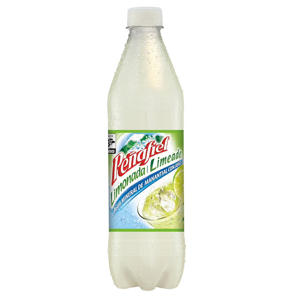 Limeade Mineral Spring Water Beverage 20 oz Plastic Bottles - Pack of 12 E538552