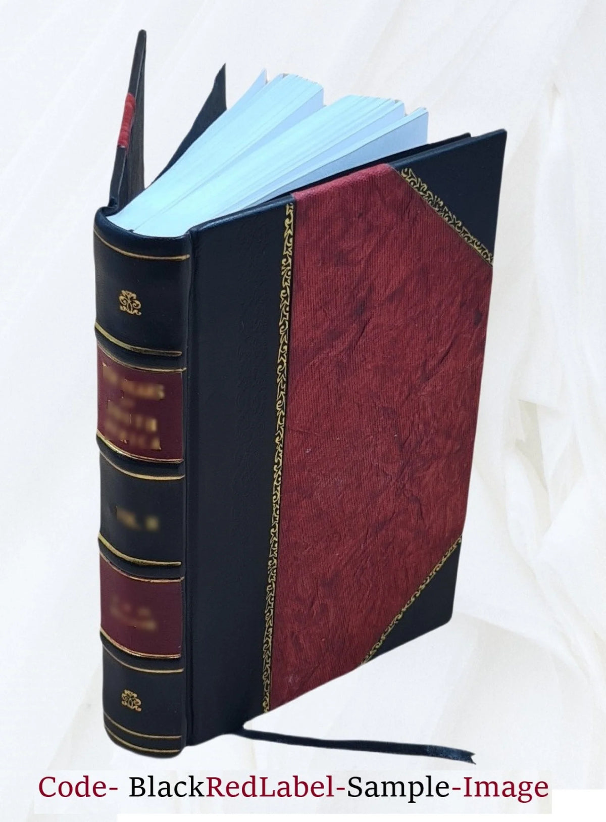 Charlemagne et sa cour: (742-814) 1854 [Leather Bound] D890877